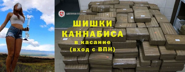 прущие грибы Лагань